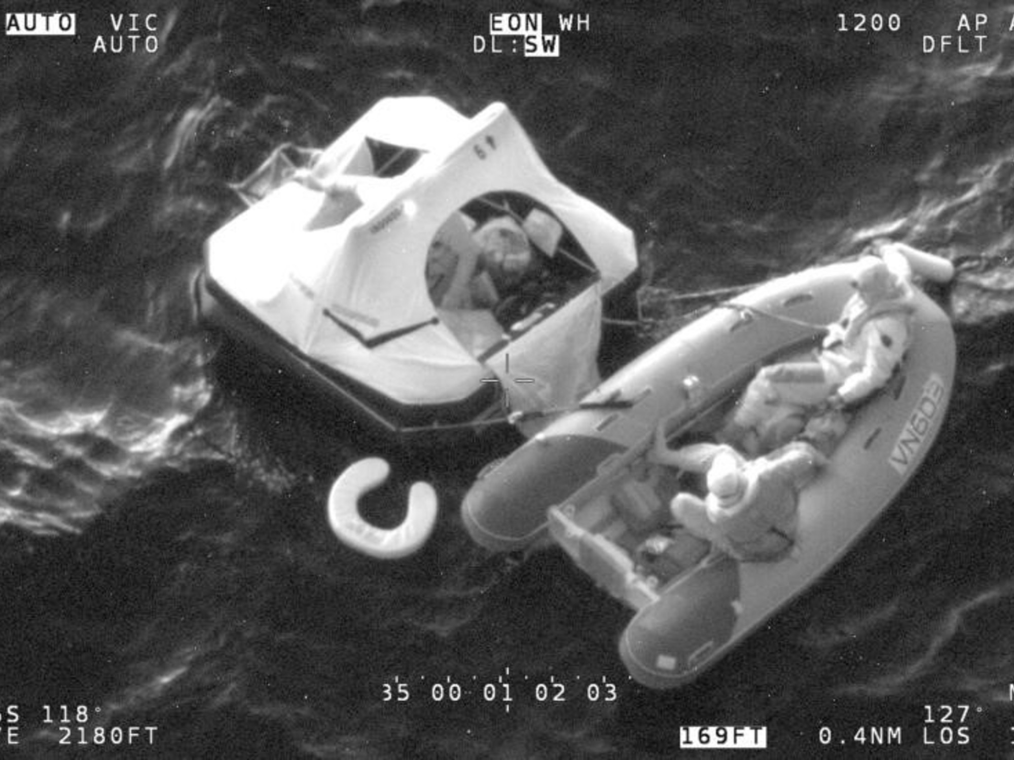 Cuatro personas sobrevivieron al hundimiento de un yate tras ser embestido por cachalotes en el Pacífico | FM Avenida