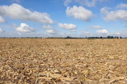 El IRS anunció la extensión de las ayudas fiscales para los ganaderos afectados por la sequía en 49 estados | FM Avenida