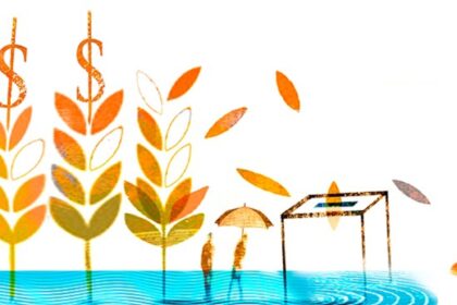 El Niño: impactos económicos, políticos y sociales | FM Avenida
