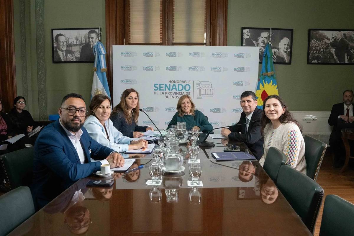 El Senado bonaerense analiza un proyecto de Berni para limitar el impacto de las deudas sobre el salario estatal | FM Avenida