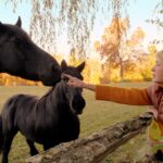 En el 2000, Martha Stewart compró una granja de 152 acres en Nueva York; 26 años después, la granja de caballos cuenta con más de 100 gallinas y 11 faisanes, tras haber añadido 13 gallinas y un faisán plateado | FM Avenida