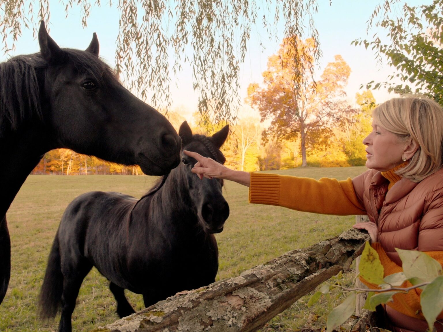 En el 2000, Martha Stewart compró una granja de 152 acres en Nueva York; 26 años después, la granja de caballos cuenta con más de 100 gallinas y 11 faisanes, tras haber añadido 13 gallinas y un faisán plateado | FM Avenida