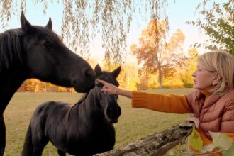 En el 2000, Martha Stewart compró una granja de 152 acres en Nueva York; 26 años después, la granja de caballos cuenta con más de 100 gallinas y 11 faisanes, tras haber añadido 13 gallinas y un faisán plateado | FM Avenida