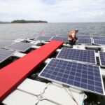 Ingenieros enviaron una plataforma solar al Mar Amarillo para comprobar la intensidad con la que las olas la sacudirían y las algas se convirtieron en un conjunto de “amortiguadores naturales” | FM Avenida