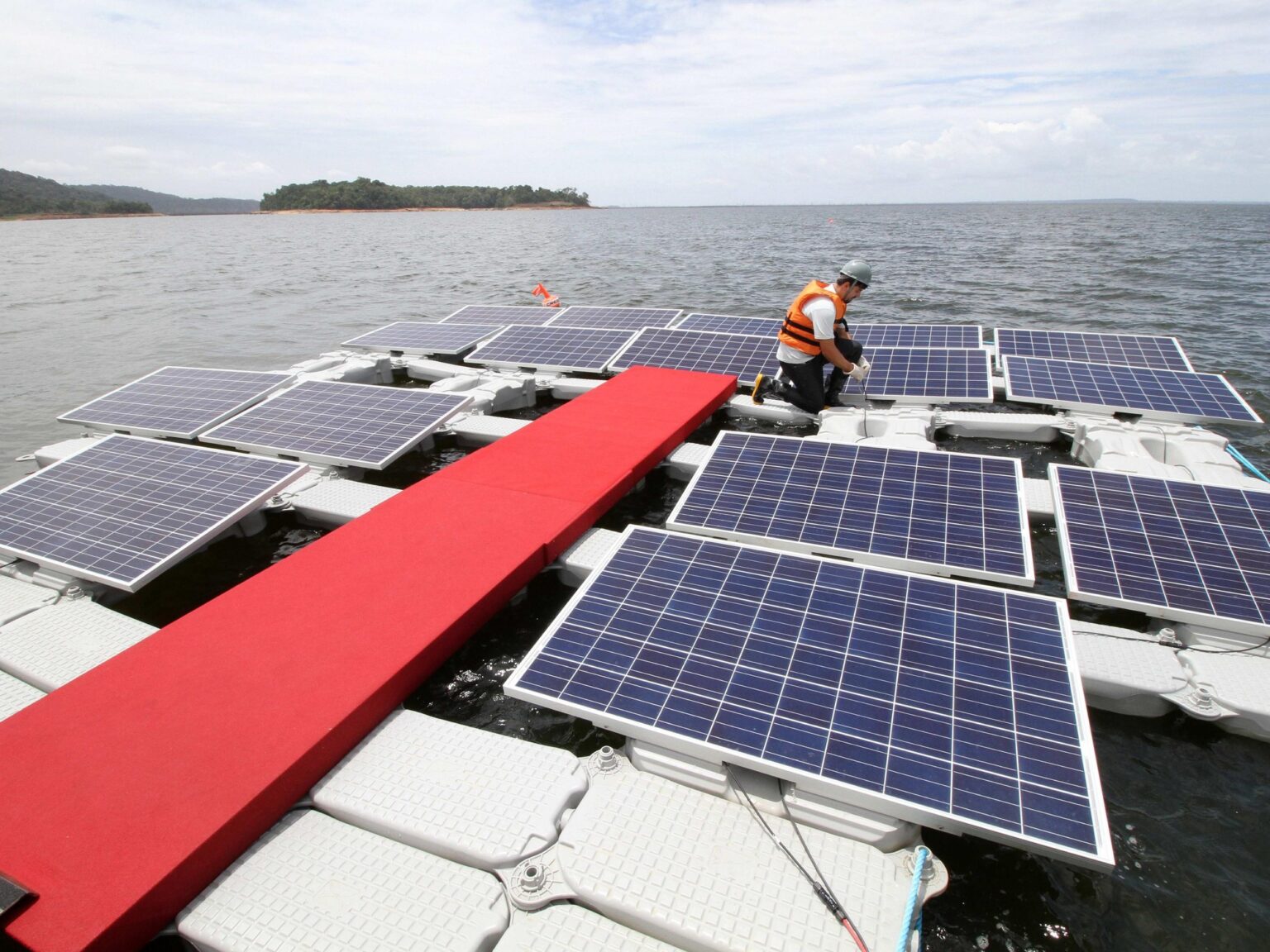 Ingenieros enviaron una plataforma solar al Mar Amarillo para comprobar la intensidad con la que las olas la sacudirían y las algas se convirtieron en un conjunto de “amortiguadores naturales” | FM Avenida