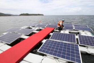 Ingenieros enviaron una plataforma solar al Mar Amarillo para comprobar la intensidad con la que las olas la sacudirían y las algas se convirtieron en un conjunto de “amortiguadores naturales” | FM Avenida