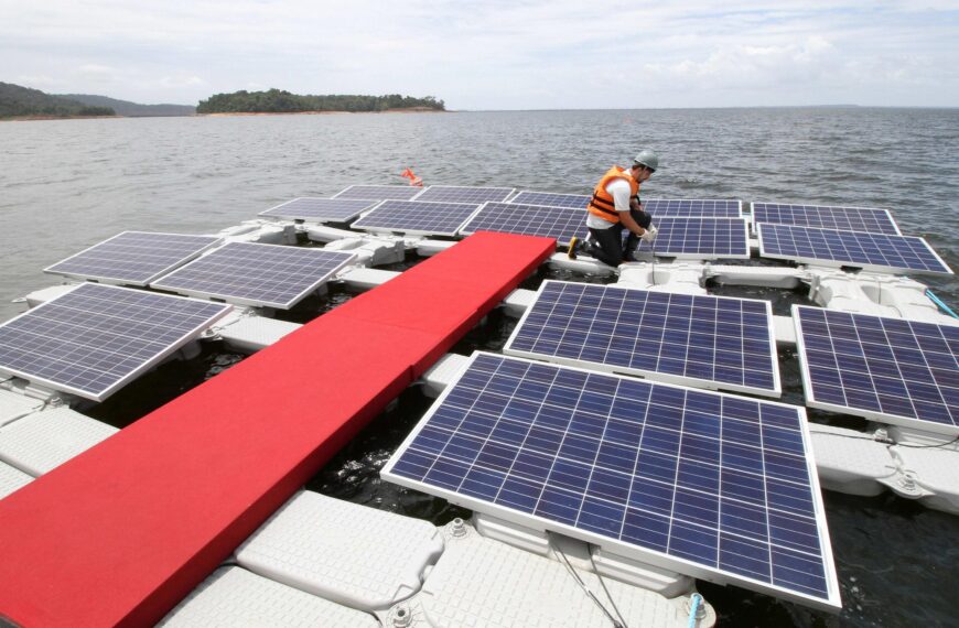 Ingenieros enviaron una plataforma solar al Mar Amarillo para comprobar la intensidad con la que las olas la sacudirían y las algas se convirtieron en un conjunto de “amortiguadores naturales” | FM Avenida