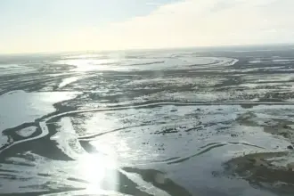 La Sociedad Rural de San Pedro en alerta por crecida del río Paraná | FM Avenida
