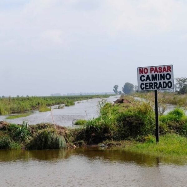 La provincia de Buenos Aires presentó una plataforma para monitorear las lluvias y el nivel de agua y caudales por el fenómeno de El Niño | FM Avenida