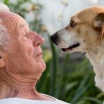 La psicología dice que las personas de 70 años que hacen menos cosas que antes no están renunciando a la vida; sono que apelan a la optimización selectiva con compensación | FM Avenida