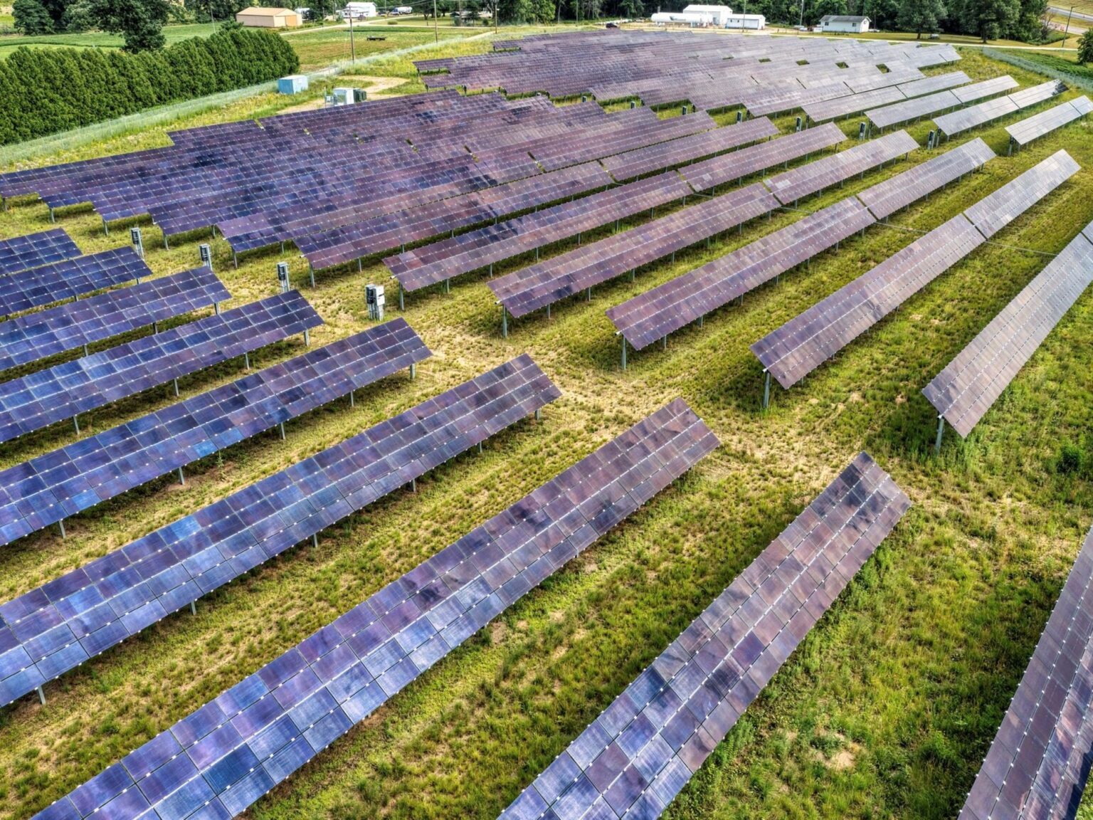 Minnesota aprobó una planta solar de 150 MW con una valla alta y luego añadió salidas de emergencia en las esquinas para que los ciervos puedan salir si logran saltarla | FM Avenida