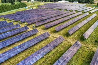 Minnesota aprobó una planta solar de 150 MW con una valla alta y luego añadió salidas de emergencia en las esquinas para que los ciervos puedan salir si logran saltarla | FM Avenida