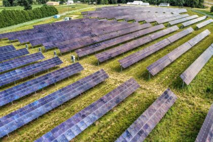 Minnesota aprobó una planta solar de 150 MW con una valla alta y luego añadió salidas de emergencia en las esquinas para que los ciervos puedan salir si logran saltarla | FM Avenida