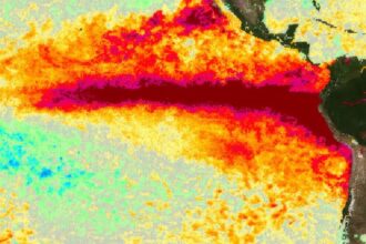 Súper Niño 2026 en Argentina, EN VIVO: cuándo será el pico de las fuertes lluvias y cómo cambiará el clima | FM Avenida