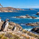 Tenía 16.500 hectáreas, fue donada y hoy es parte de un enorme parque de la Patagonia con ballenas y pingüinos | FM Avenida
