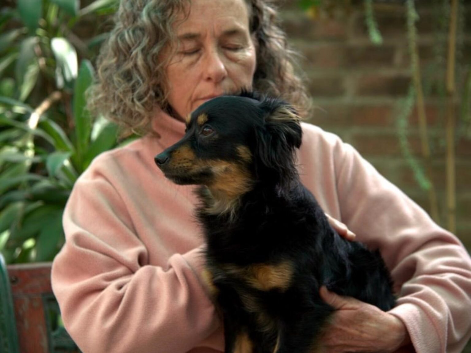 Terapia para que se sientan mejor: hace reiki para mascotas | FM Avenida