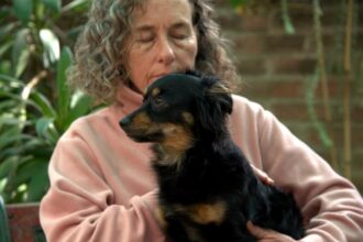 Terapia para que se sientan mejor: hace reiki para mascotas | FM Avenida