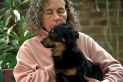 Terapia para que se sientan mejor: hace reiki para mascotas | FM Avenida