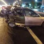 Tragedia en la Panamericana: un hombre murió tras un choque y un auto se incendió en Vicente López | FM Avenida