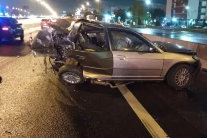 Tragedia en la Panamericana: un hombre murió tras un choque y un auto se incendió en Vicente López | FM Avenida