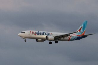 Vuelo de Flydubai: revelan que el copiloto de Omán estaba vetado en su propio país | FM Avenida